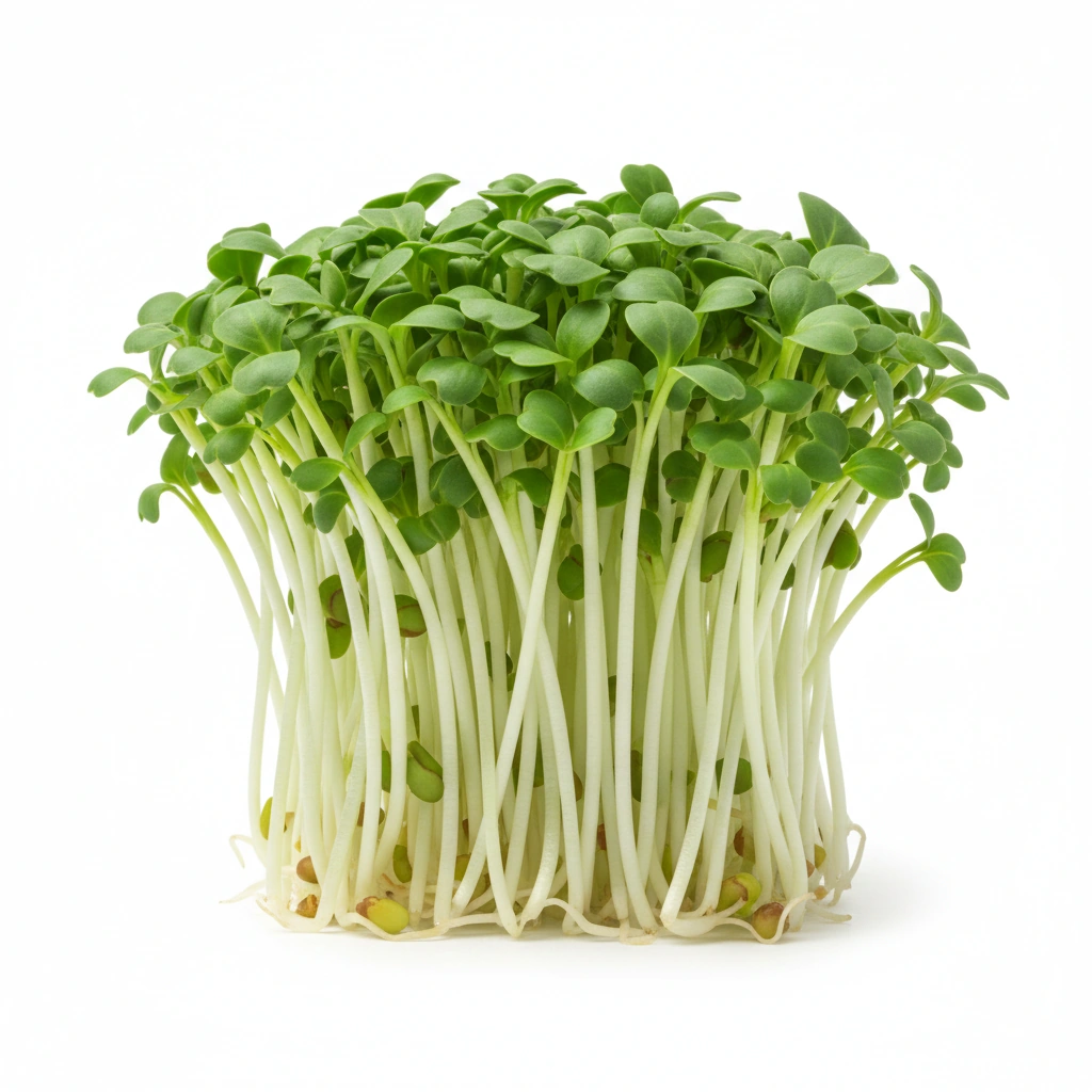 BROCCOLI SPROUT POWDER 0.4% SULFORAPHANE