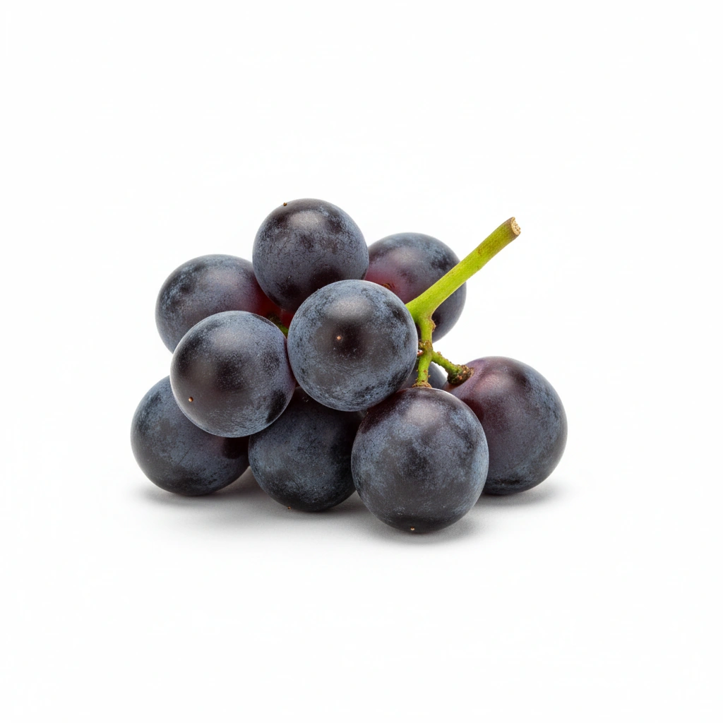 CONCORD GRAPE JUICE POWDER