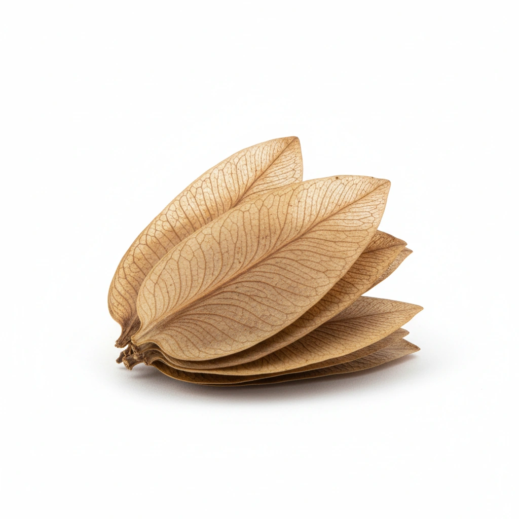 Chrysin (Oroxylum indicum)(Seed)