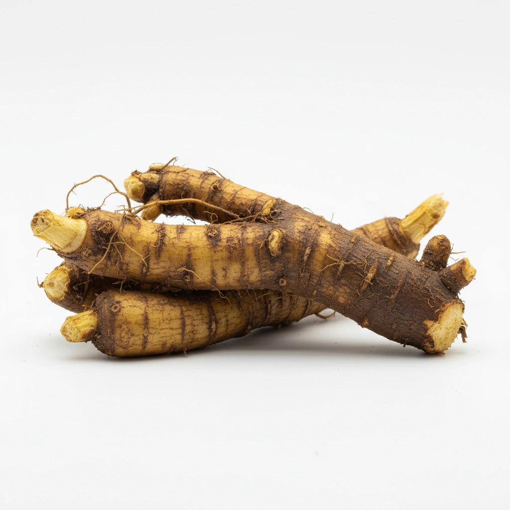 Curculigo orchioides 10:1 Extract (root)