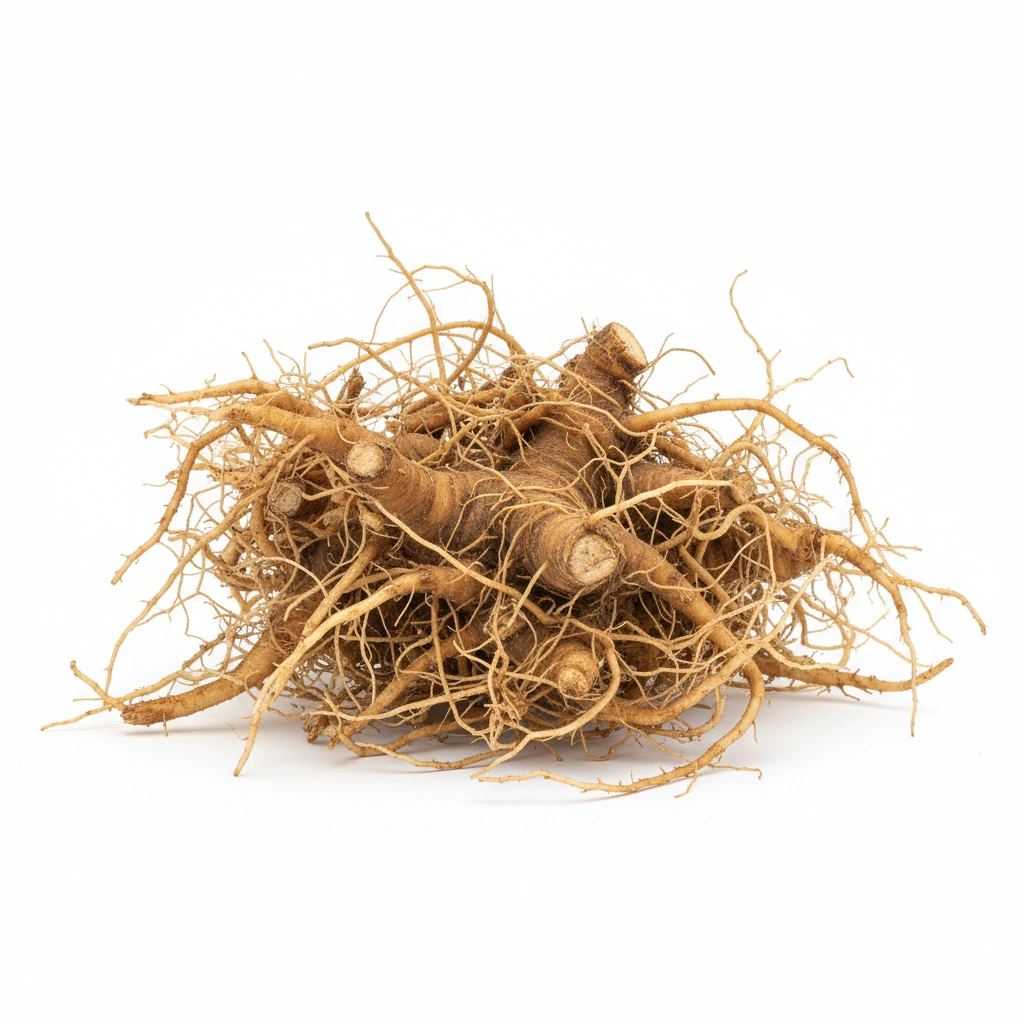 3, 4 DIVANILYLTETRAHYDROFURAN