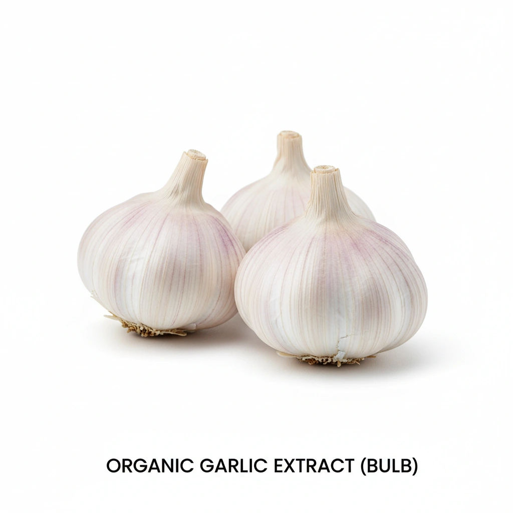 ORGANIC GARLIC EXTRACT (BULB)