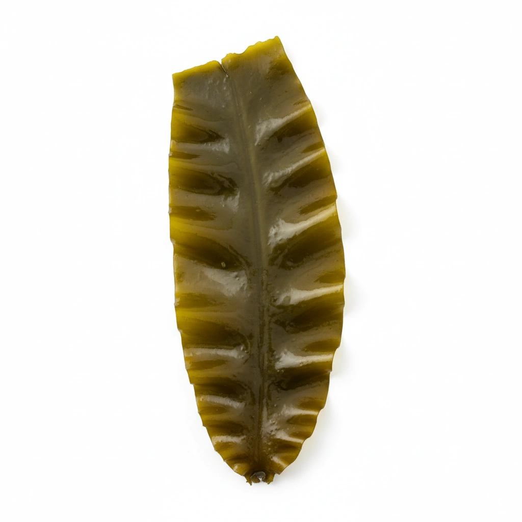 KELP EXTRACT (LAMINARIA JAPOPNICA)(STD. TO 10% FUCOXANTHIN)