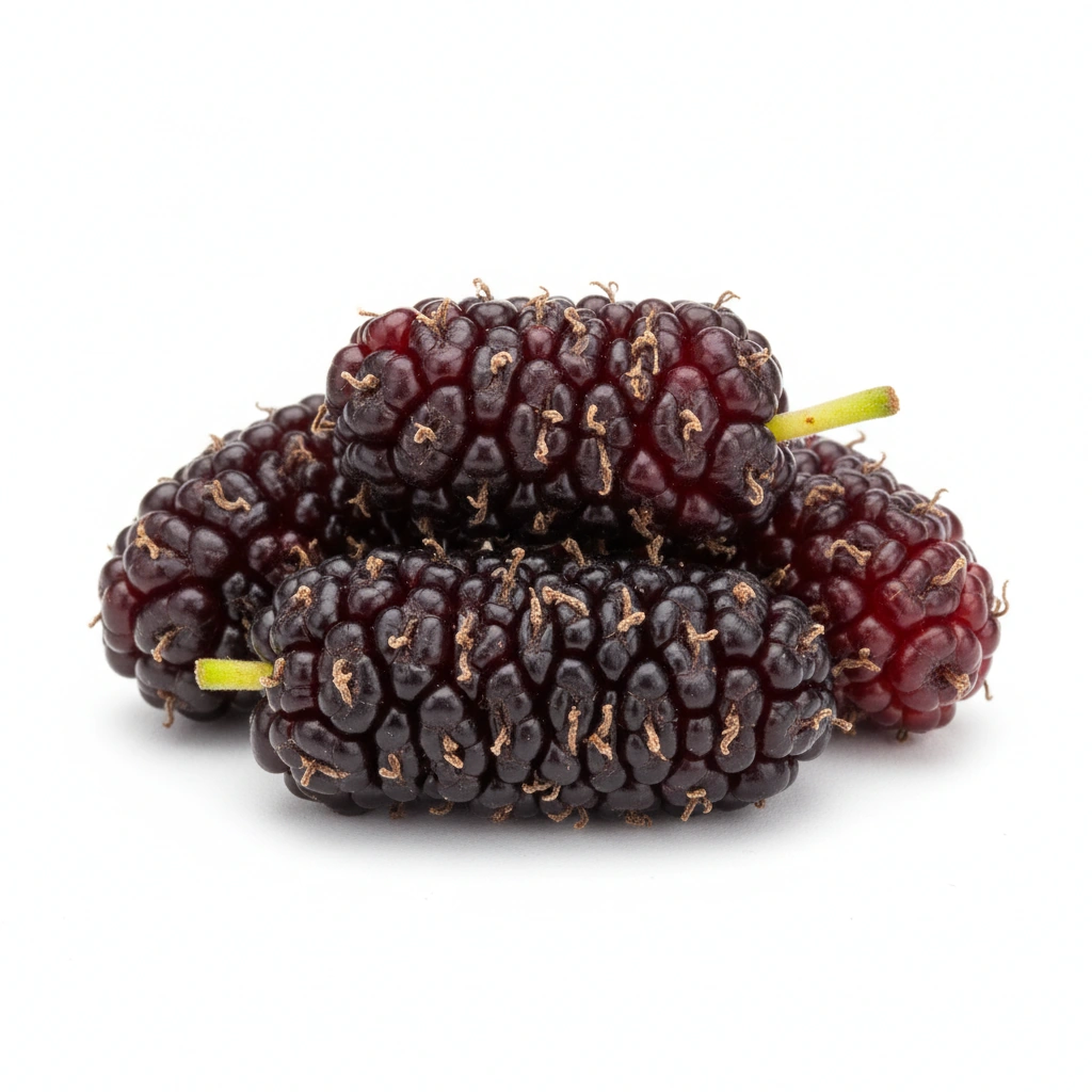 MULBERRY FRUIT POWDER (FRESH FRUIT)