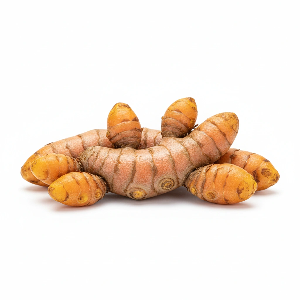 NANOSOLUBILIZED CURCUMINOIDS 20% POWDER