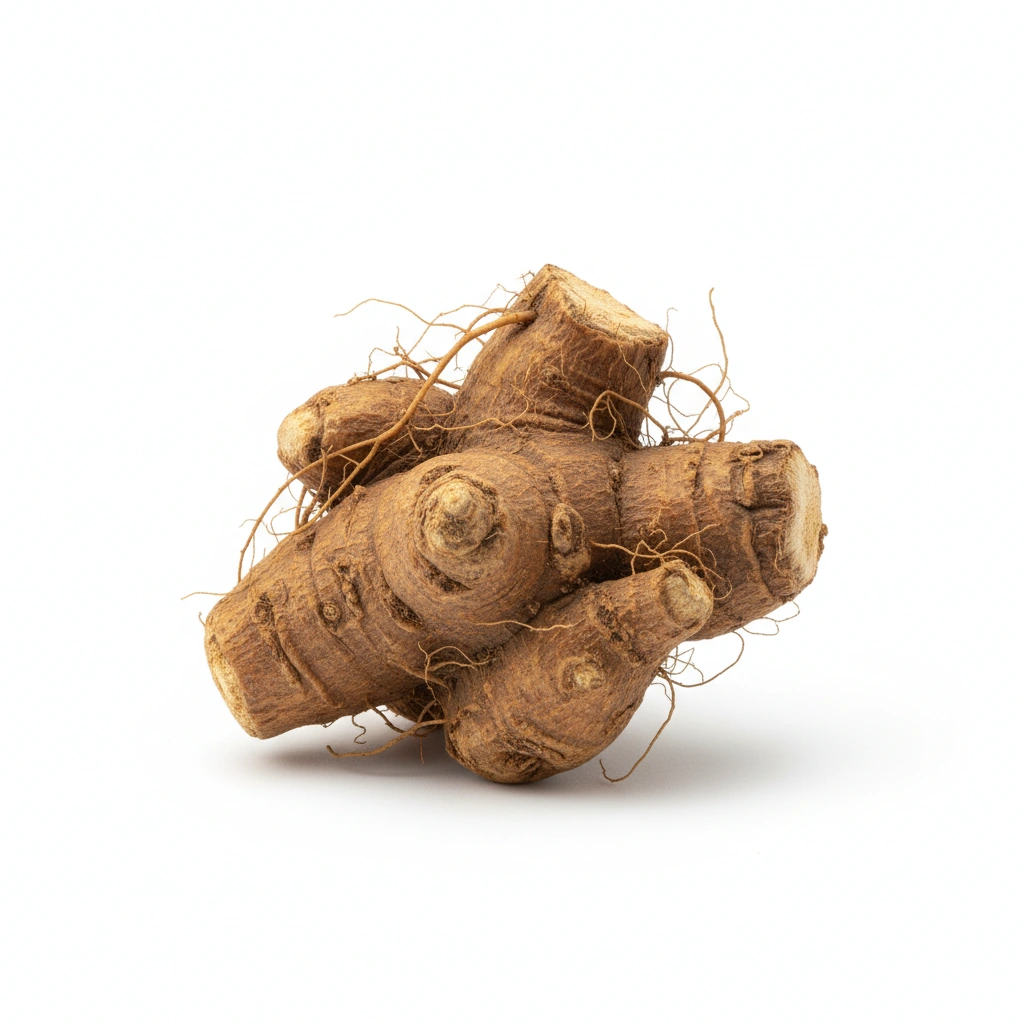 DONG QUAI (ANGELICA SINENSIS)(ROOT) POWDER