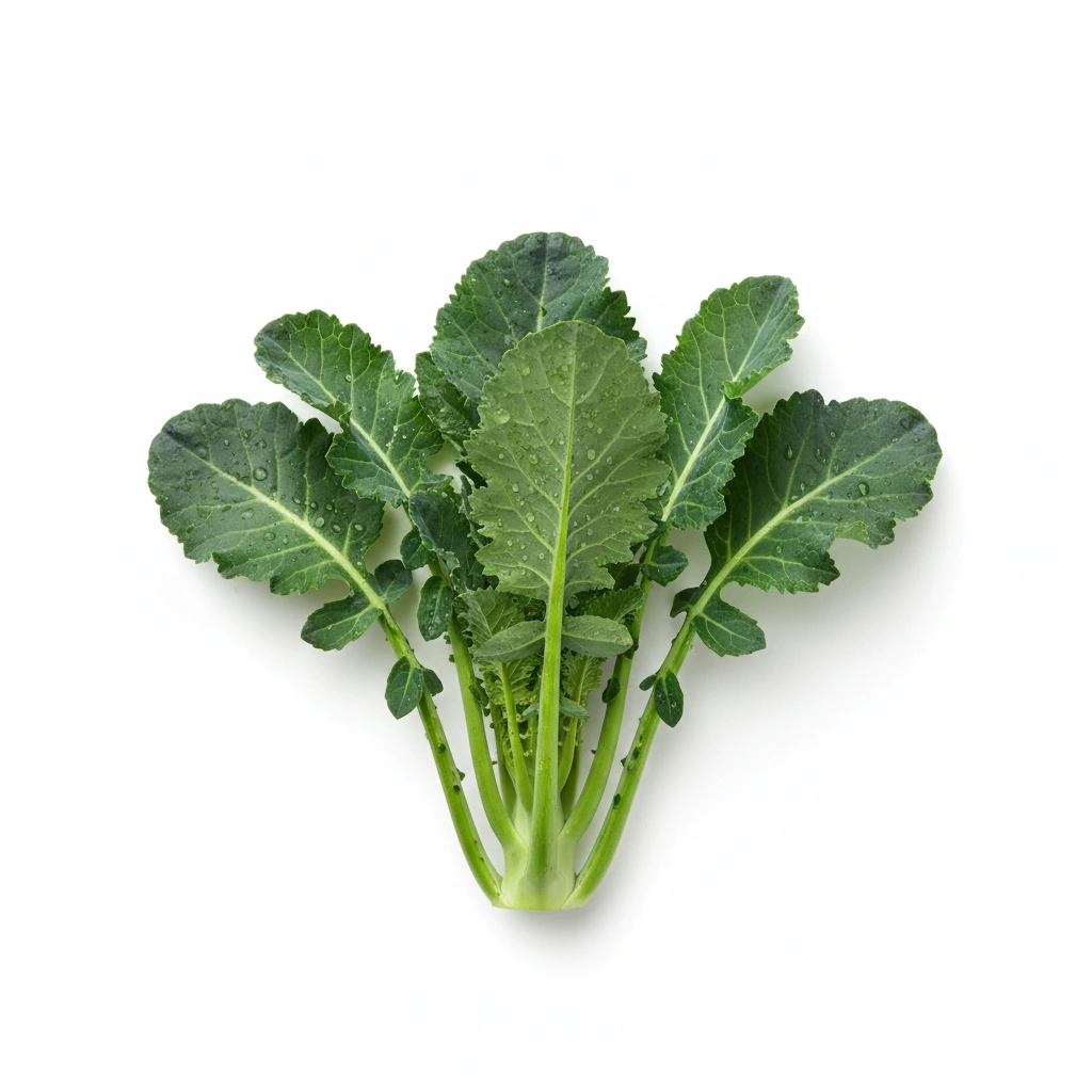 Broccoli 4:1 (leaf)