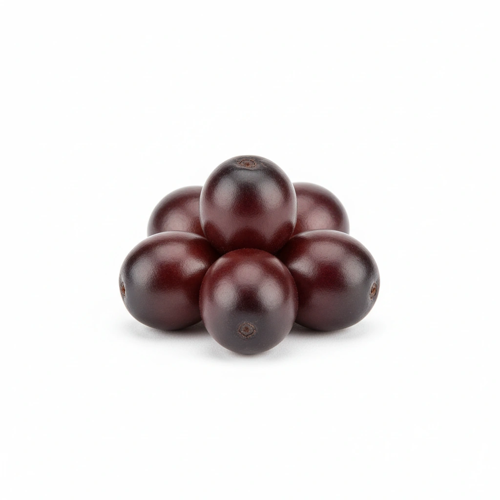 SAW PALMETTO BERRY POWDER (SERENOA REPENS)