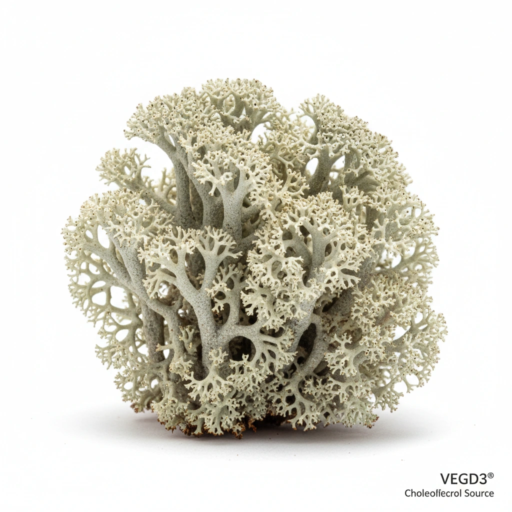 VEGD3® (AS VEGAN CHOLECALCIFEROL) 100,000 IU/G